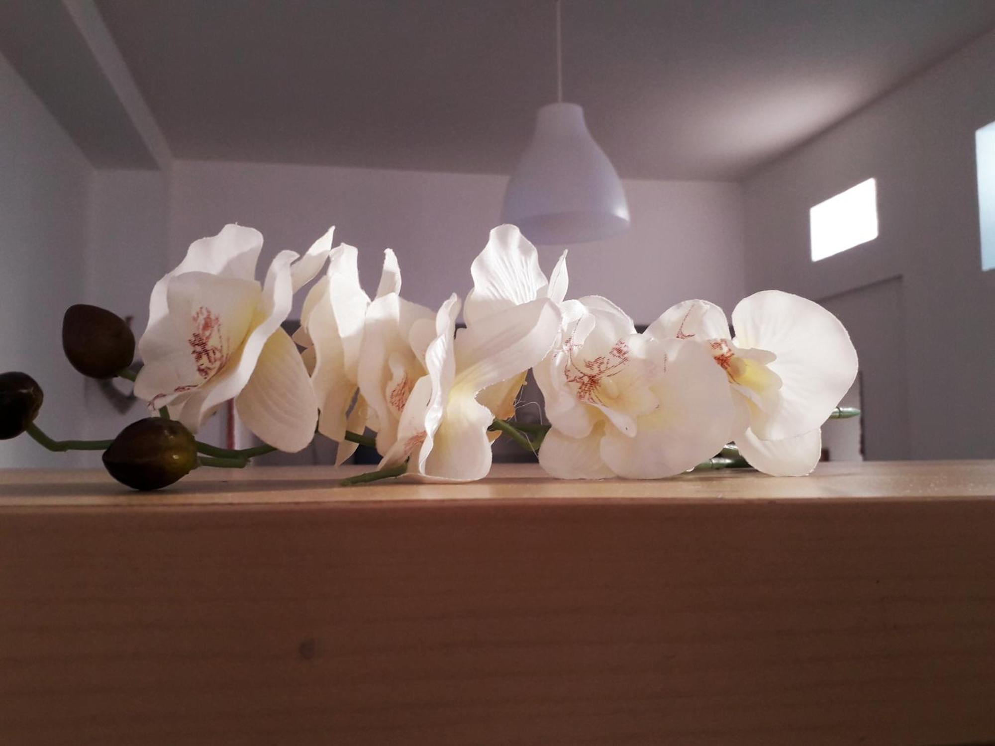 Sadinahome セトゥーバル エクステリア 写真
