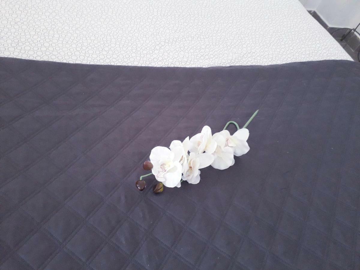 Sadinahome セトゥーバル エクステリア 写真